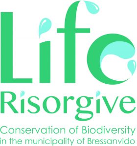 LIFE risorgive logo