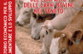 Analisi economica del comparto delle carni bovine nel Veneto