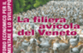 La filiera avicola del Veneto