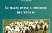 Le razze ovine autoctone del Veneto