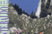 Il Monte Baldo: un viaggio tra le pendici boscate