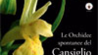 Le Orchidee spontanee del Cansiglio