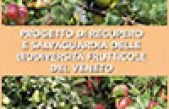 Progetto di recupero e salvaguardia delle biodiversità frutticole del Veneto