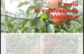 Il melo in coltivazione biologica