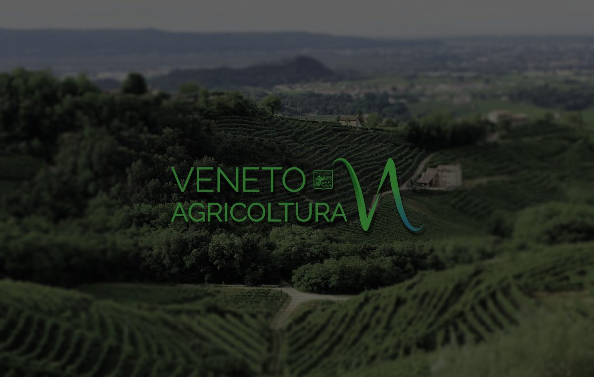 Newsletter di Veneto Agricoltura n. 12/2013