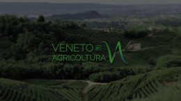 14 marzo 2017 – Sicurezza sul lavoro in agricoltura: sistemi di gestione e processi organizzativi (macchine, attrezzature di precisione e biogas) – Corte Benedettina, Legnaro (PD) – cod.9-17