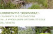 L’ortofrutta “biodiversa”: l’ambiente di coltivazione delle produzioni ortofrutticole del Veneto