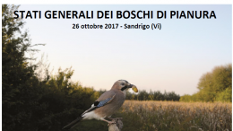 Relazioni convegno STATI GENERALI DEI BOSCHI DI PIANURA – Sandrigo (VI) 26 ottobre 2017