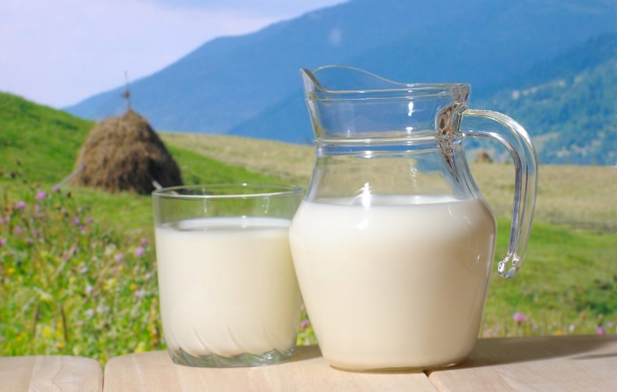 Prezzo del latte nella cooperazione veneta: più alto della media