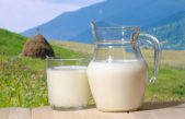 Prezzo del latte nella cooperazione veneta: più alto della media