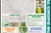 Annual crops Bulletin