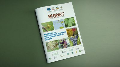 Protocolli di conservazione in Veneto delle antiche varietà viticole