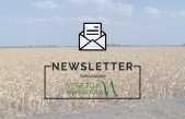 Newsletter Veneto Agricoltura n. 06/2018