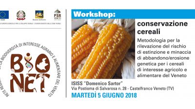 Workshop: conservazione cereali