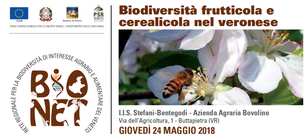 BIONET 24 maggio 2018 Buttapietra Biodiversità frutticola e cerealicola nel veronese