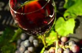 Focus sul Vino Biologico: online il REPORT di Veneto Agricoltura