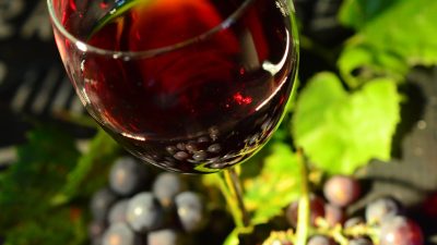 Focus sul Vino Biologico: online il REPORT di Veneto Agricoltura