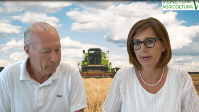 13 Radio Veneto Agricoltura – 5,9 mld/€ il valore dell’agroalimentare veneto