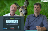10 Radio Veneto Agricoltura – Fauna Selvatica Nel Veneto