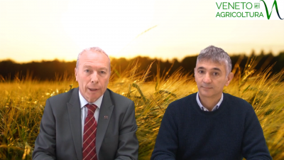 33 Radio Veneto Agricoltura – Agricoltura e assicurazione