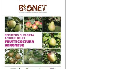 Programma BIONET – Recupero di varietà antiche della frutticoltura veronese