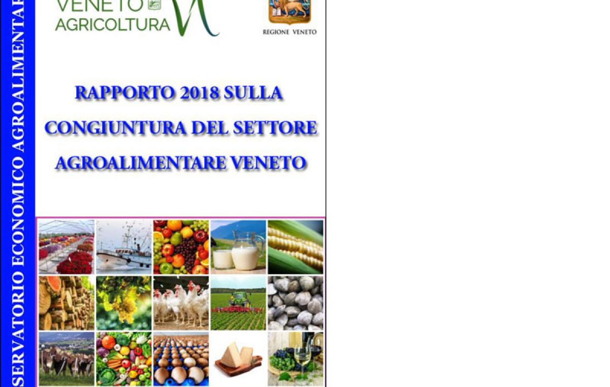 Rapporto 2018 sulla congiuntura del settore agroalimentare veneto
