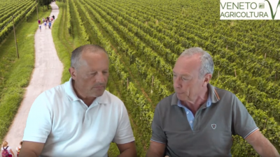 66 Radio Veneto Agricoltura – Le Strade del Vino e dei Prodotti Tipici