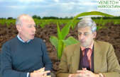 80 Radio Veneto Agricoltura – Come ridurre la chimica in agricoltura