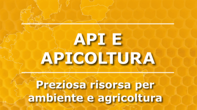 API E APICOLTURA – PREZIOSA RISORSA PER AMBIENTE E AGRICOLTURA