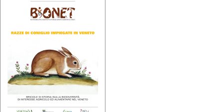 Razze di coniglio impiegate in Veneto
