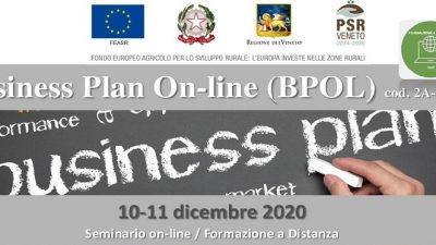 Business Plan On-line
