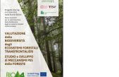 Valutazione della biodiversità degli ecosistemi forestali transfrontalieri – Studio e sviluppo di meccanismi PES delle foreste