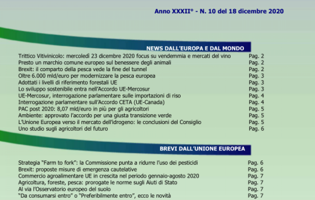 Veneto Agricoltura Europa n. 10/2020