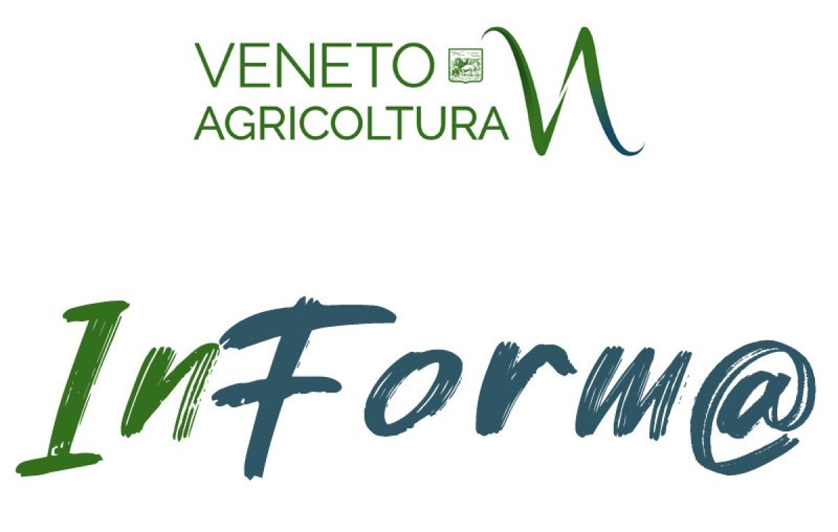 Veneto Agricoltura Inform@ n°19/2020 del 6.11.20