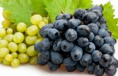 Nel 2020 restano stabili i prezzi delle uve venete