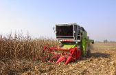 IMPATTO COVID SULL’AGROALIMENTARE VENETO 2020: IN CALO LE IMPRESE…