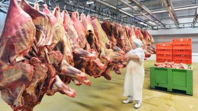 Report 2020 su Allevamento e macellazioni di capi bovini, suini e avicoli in Veneto