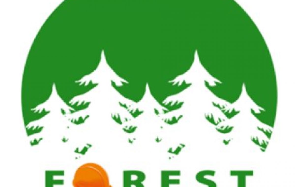 OPERATORI FORESTALI ANCHE DONNE, STANDARDIZZARE LA FORMAZIONE: CI PENSA IL PROGETTO UE, “FOREST”