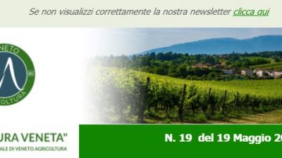 Agricoltura Veneta n. 19 del 19.05.2021