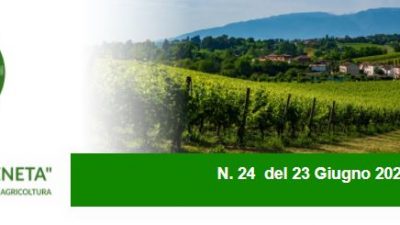 Agricoltura Veneta n. 24 del 23.6.2021