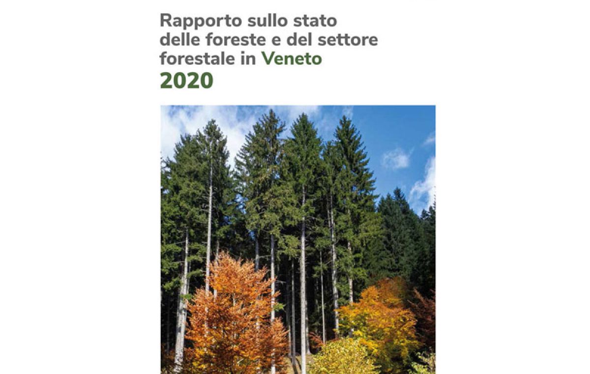 Rapporto sullo stato delle foreste e del settore forestale in Veneto 2020