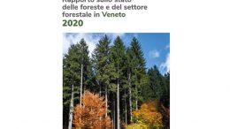 Rapporto sullo stato delle foreste e del settore forestale in Veneto 2020