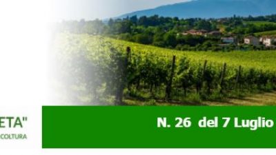 Agricoltura Veneta N. 26 del 8.7.2021