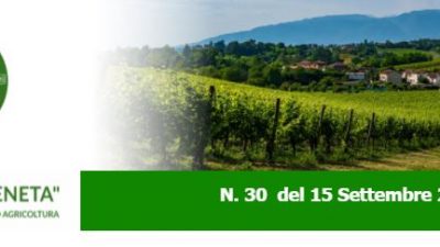 NEWSLETTER “AGRICOLTURA VENETA” N. 30 DEL 15.09.2021