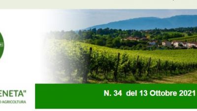 Newsletter Agricoltura Veneta n. 34 del 13.10.2021