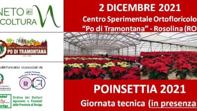 Poinsettia2021 – Giornata tecnica (in presenza)