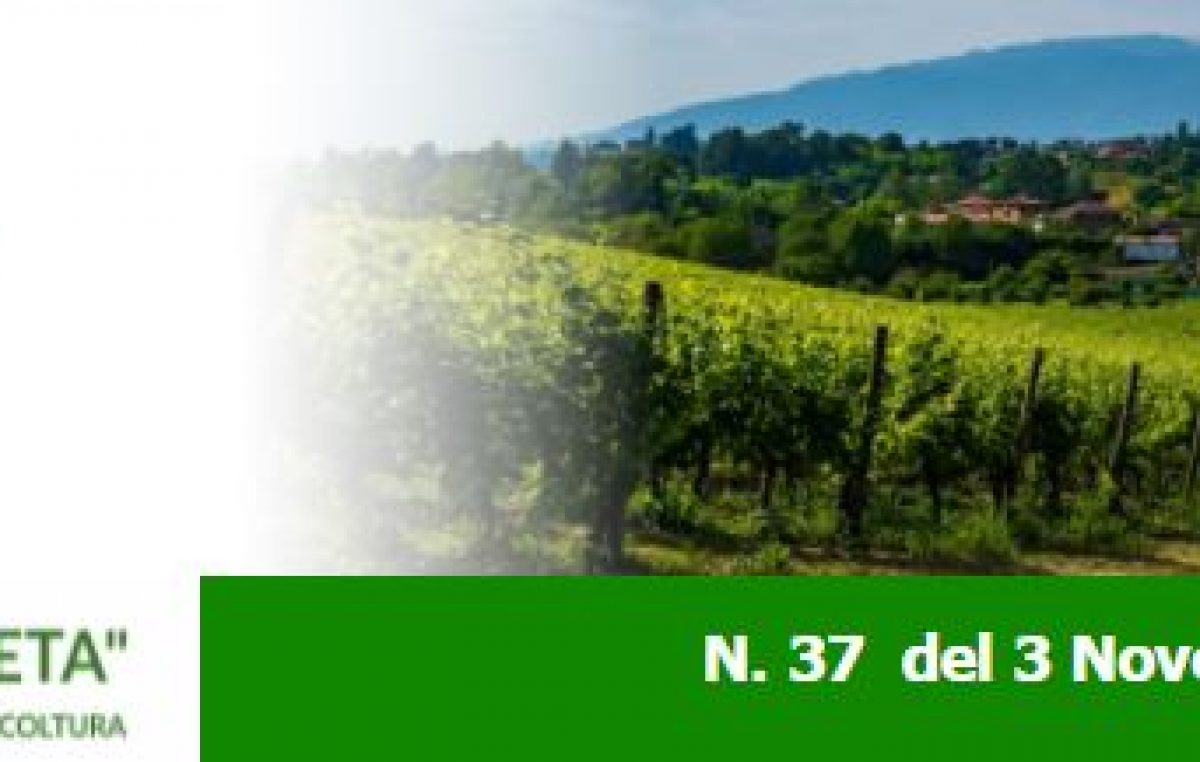 Newsletter “Agricoltura Veneta” n. 37 del 3.11.2021