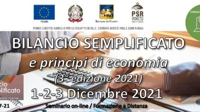 Bilancio semplificato e principi di economia (3ª edizione 2021)