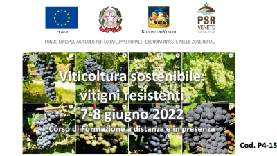 Viticoltura sostenibile: vitigni resistenti