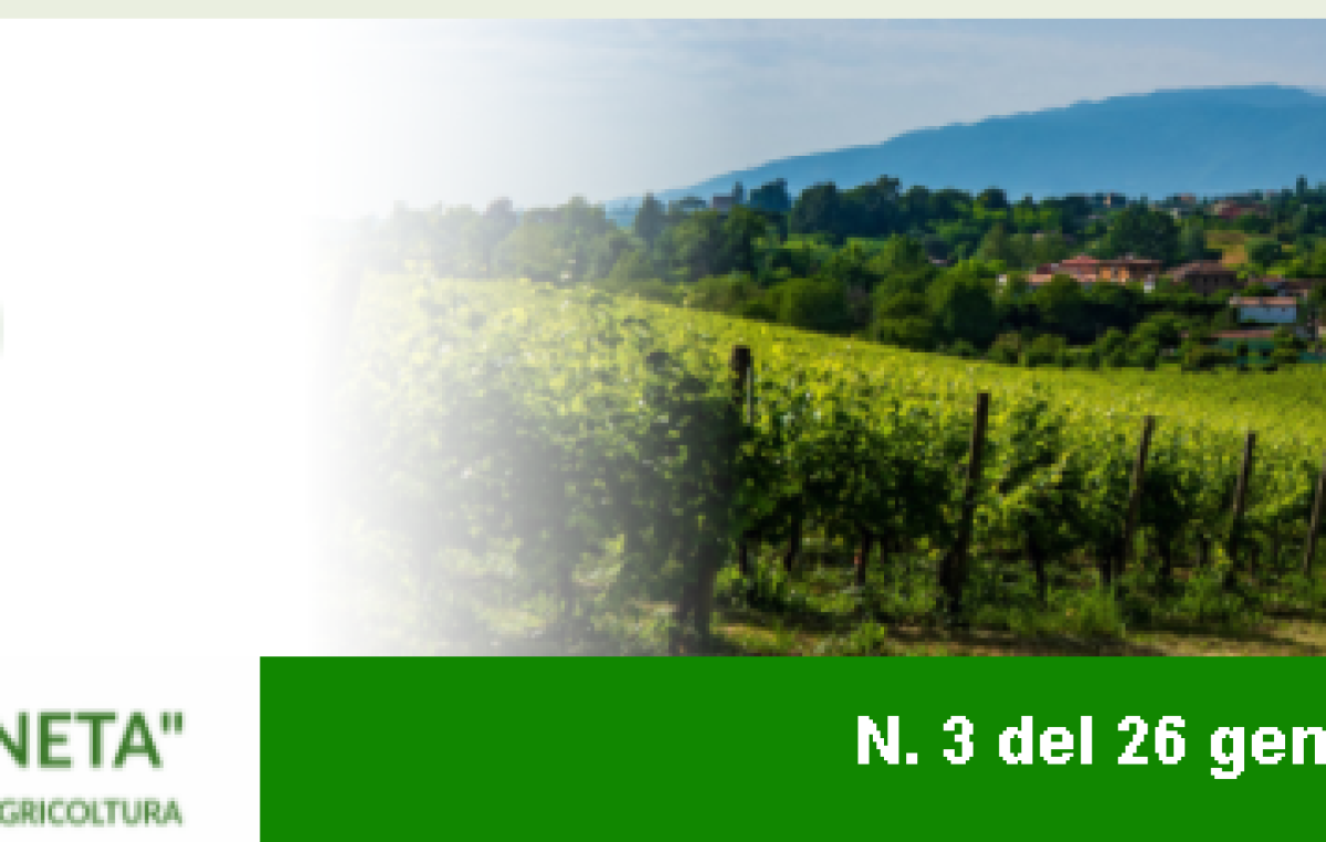Newsletter Agricoltura Veneta n. 03 del 26.01.2022